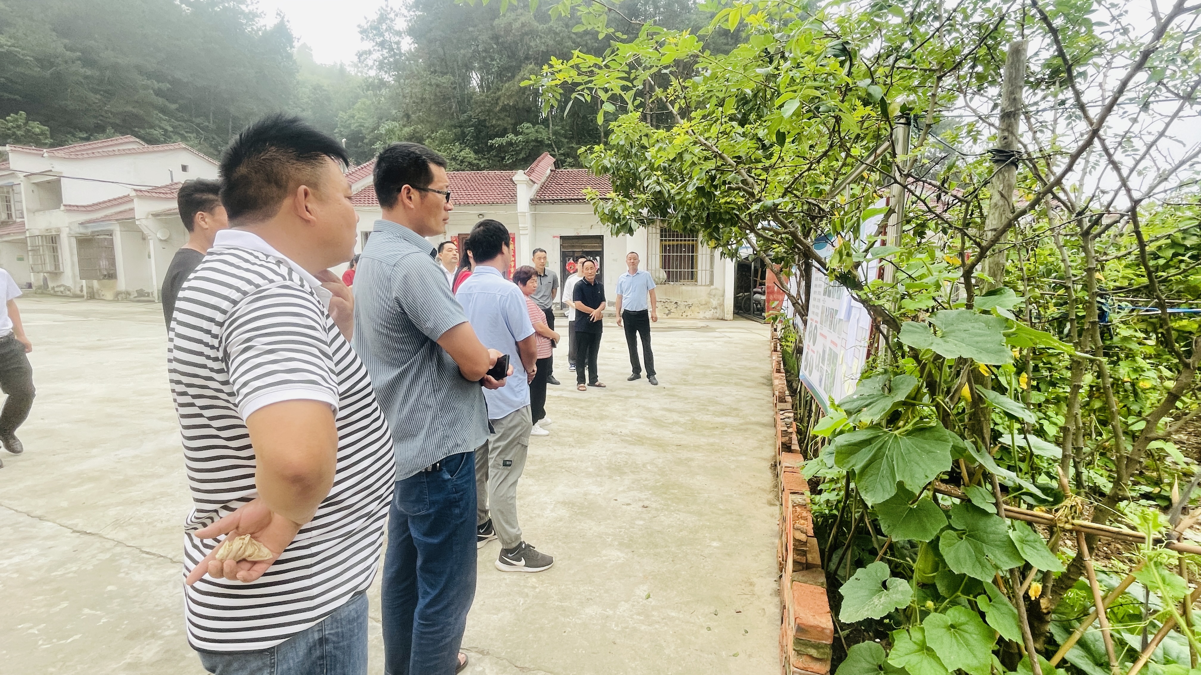 龙山镇开展"清洁家园"现场会 助推文明河流建设