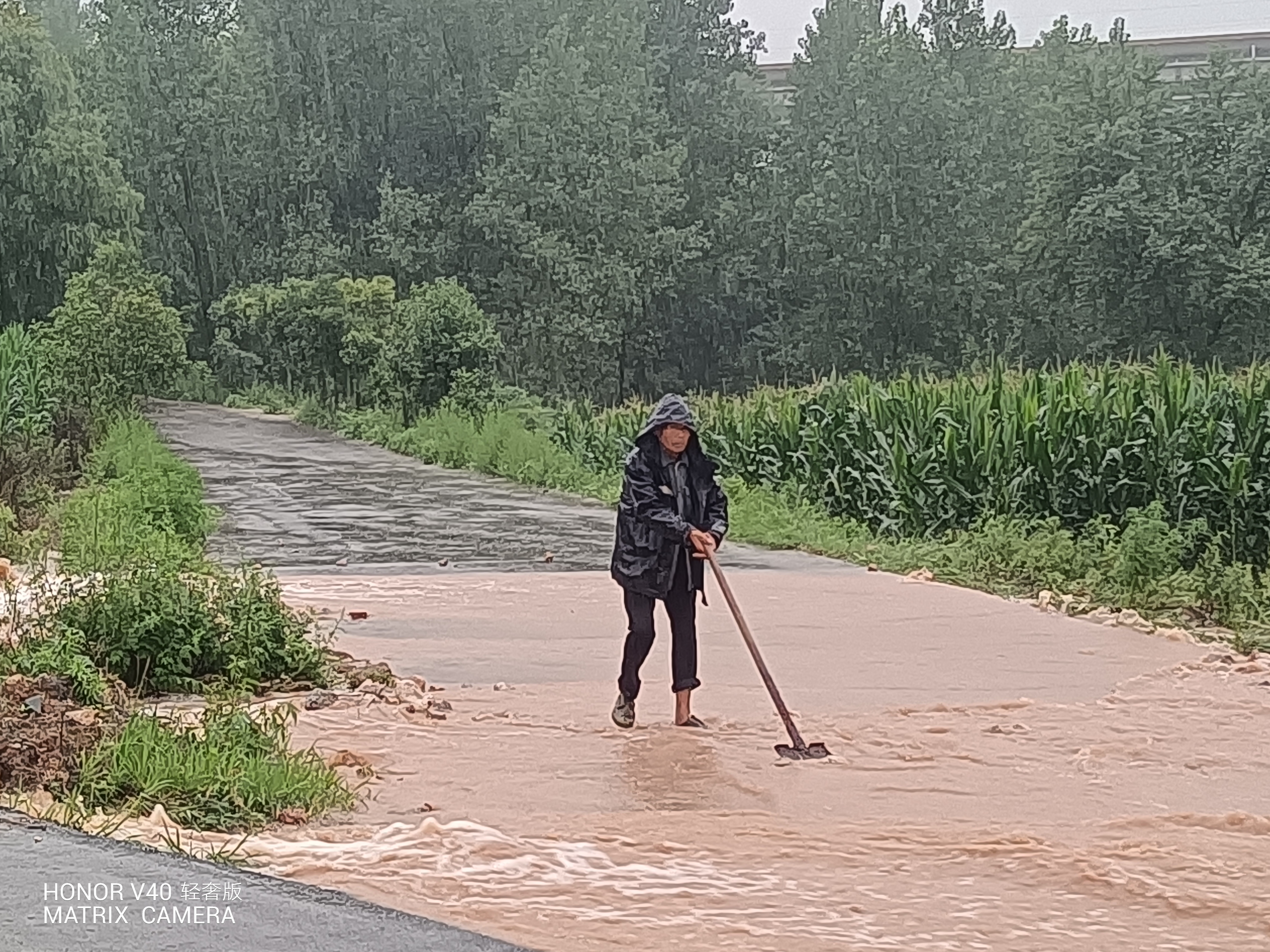 石鼓镇全力开展防汛排查与抢修工作,确保群众安全度汛_云上丹江口