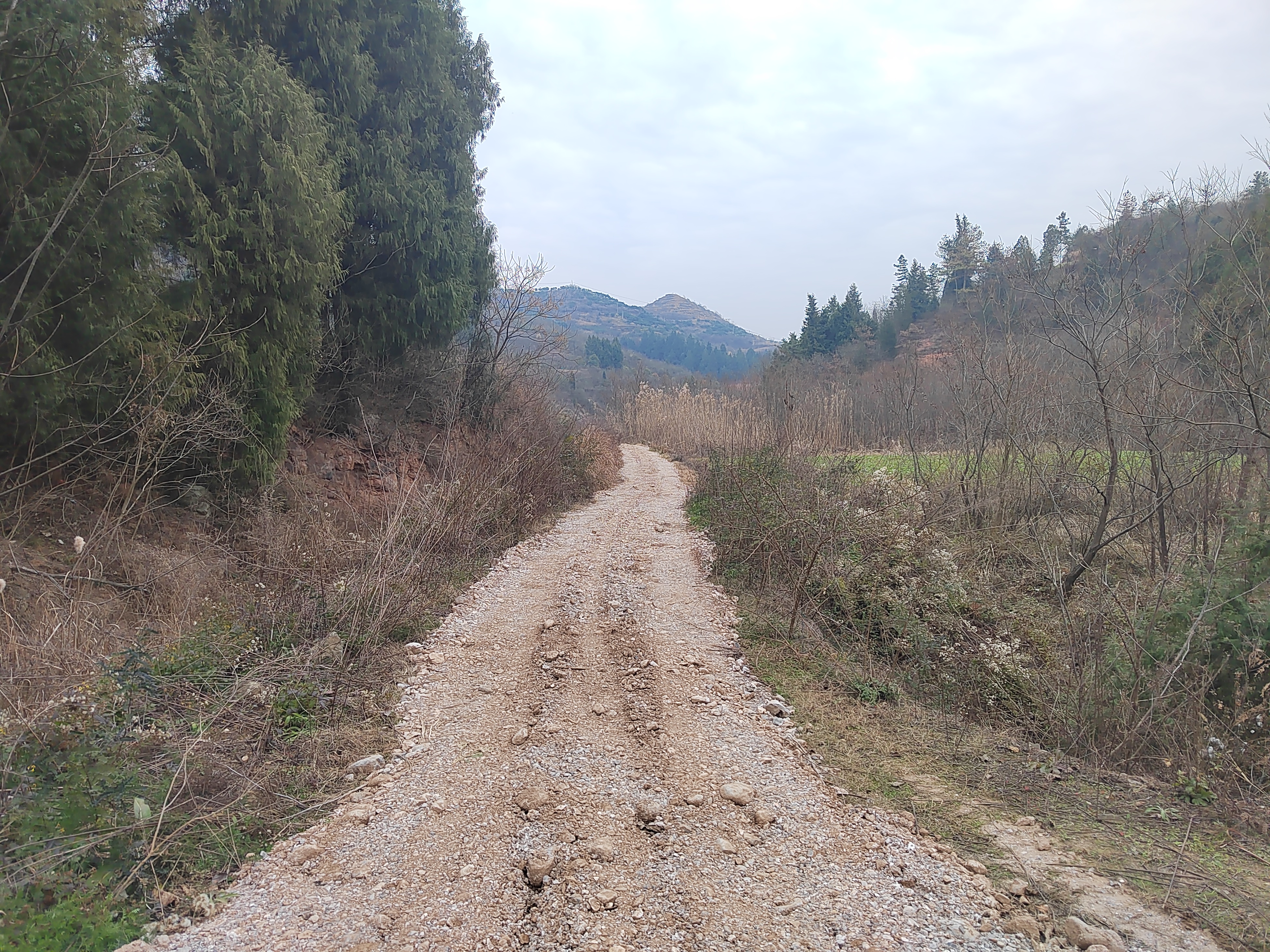 均县镇:共同缔造促发展 村民同修"致富路"