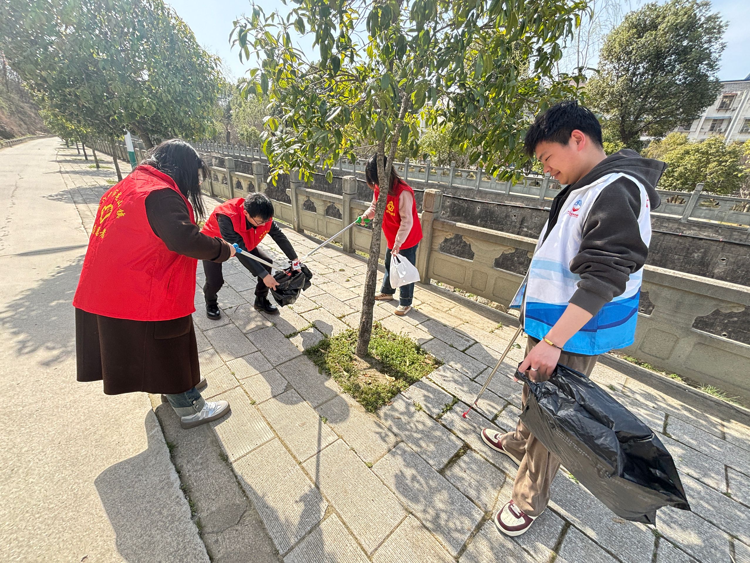 龙山镇:聚力环境卫生整治 乡村面貌换新颜