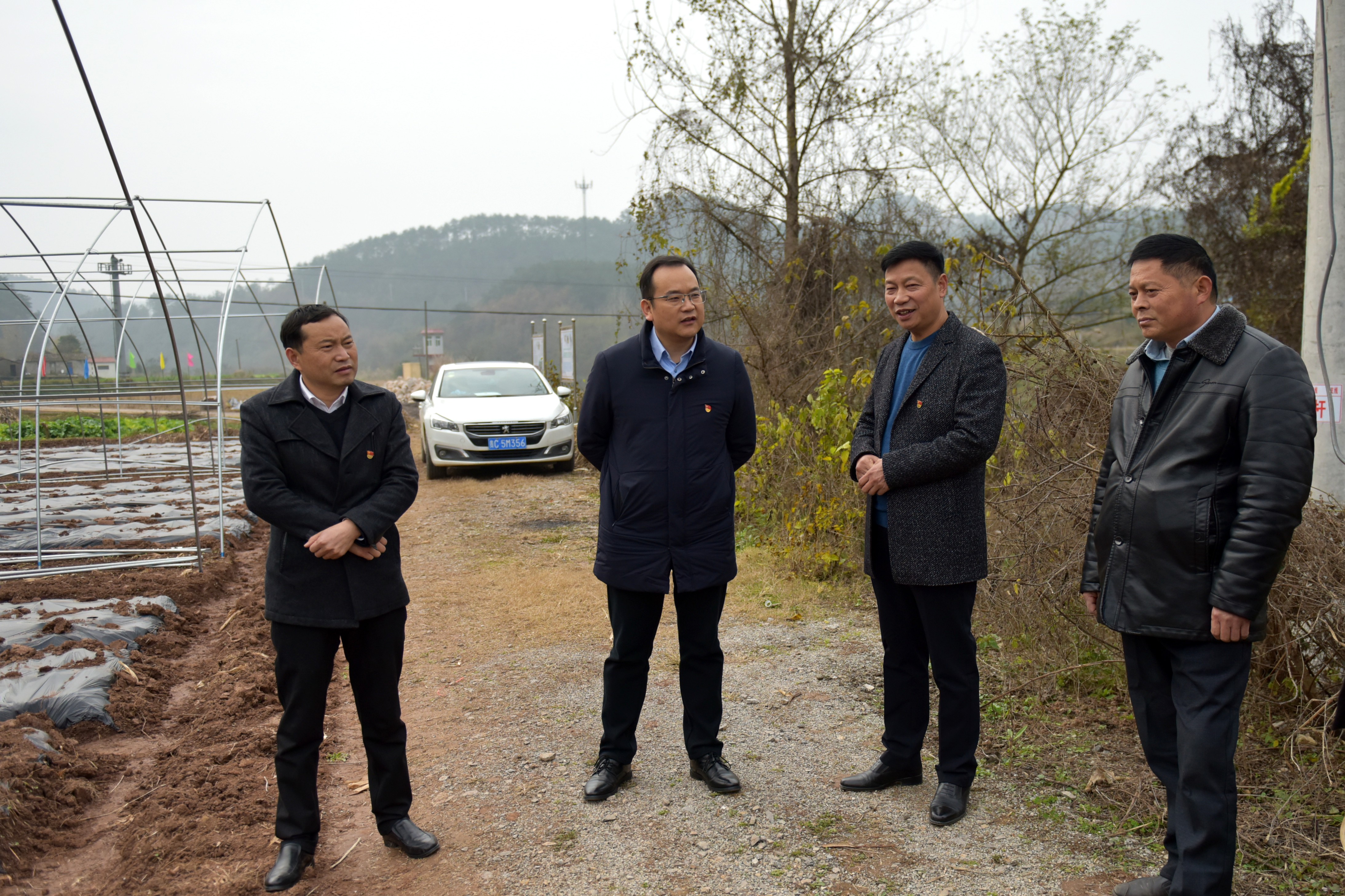 县领导到东巩镇调研_云上南漳