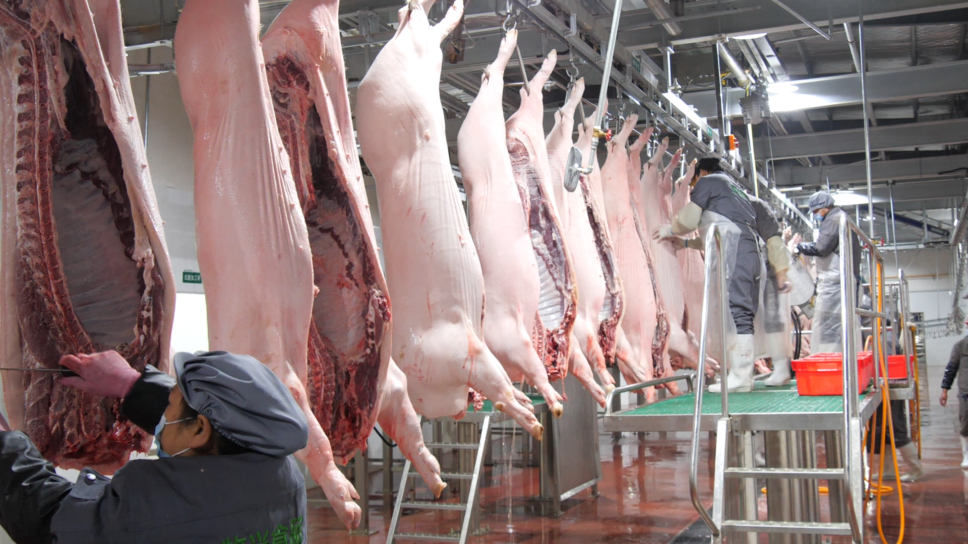 作为我县唯一一家定点生猪屠宰企业,牧兴有机食品有限公司拥有国内