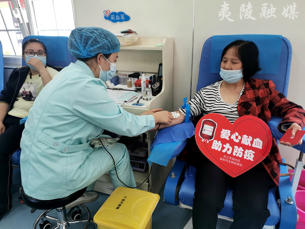 义务献血奉献爱心