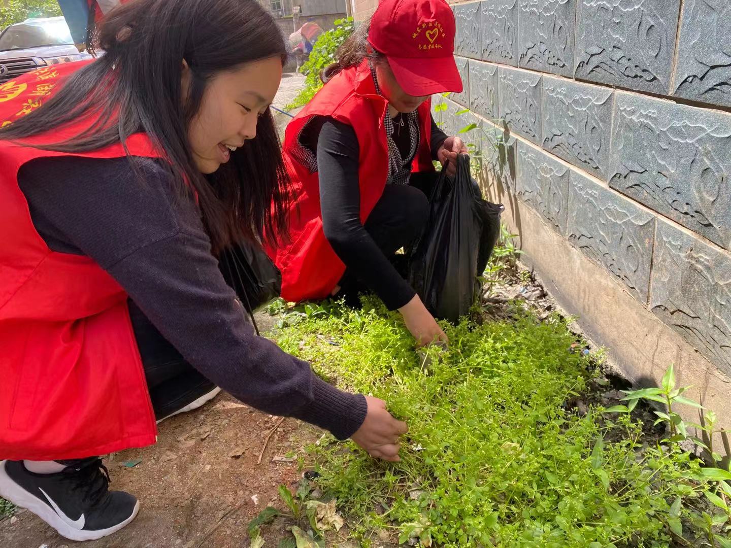 城东新区滨湖社区学党史办实事深入开展义务除草美化环境实践活动